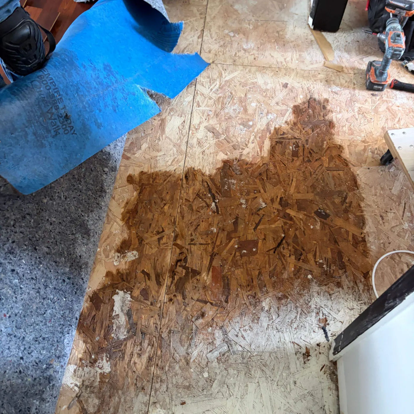Moisture meter reading on drywall in Butler-Tarkington water loss